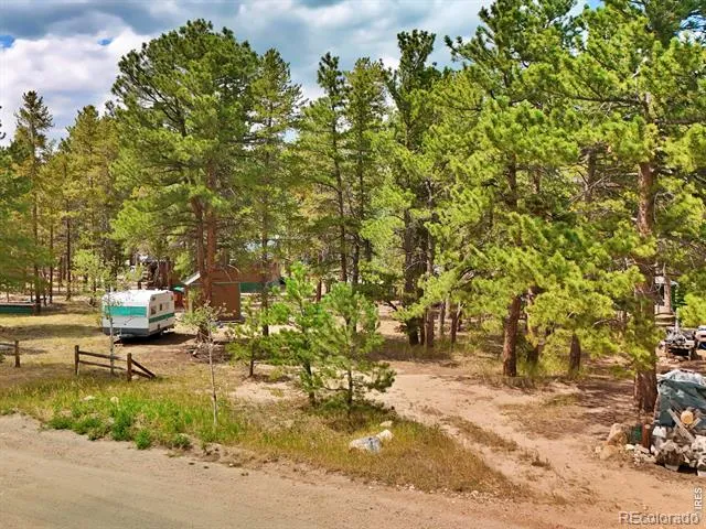 655 W Spruce Street Nederland, CO 80466