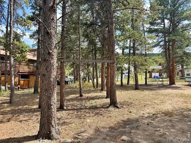 655 W Spruce Street Nederland, CO 80466