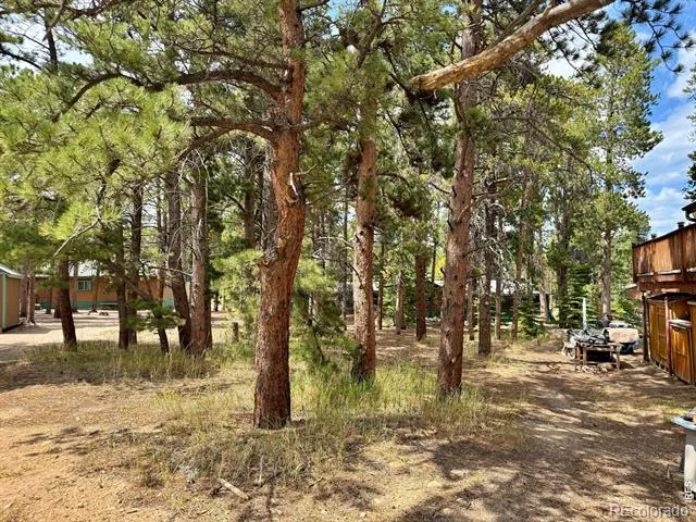 655 W Spruce Street Nederland, CO 80466