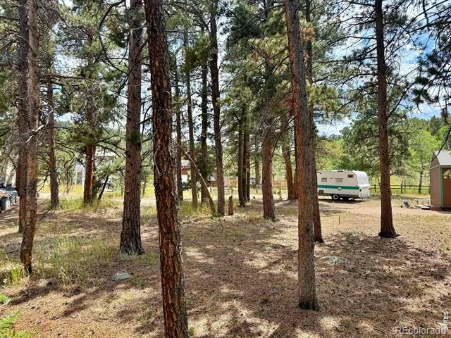 655 W Spruce Street Nederland, CO 80466