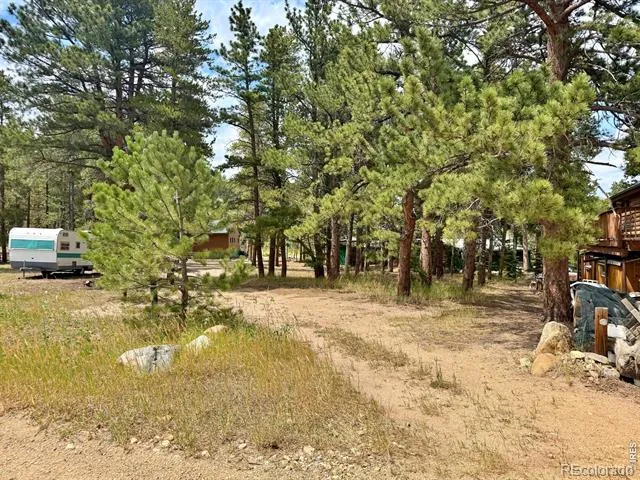 655 W Spruce Street Nederland, CO 80466