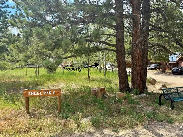 655 W Spruce Street Nederland, CO 80466