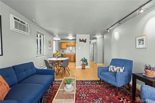271 Grant Street #303 Denver, CO 80203