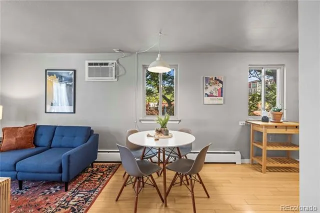271 Grant Street #303 Denver, CO 80203