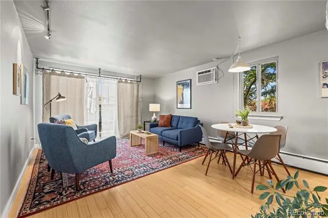 271 Grant Street #303 Denver, CO 80203