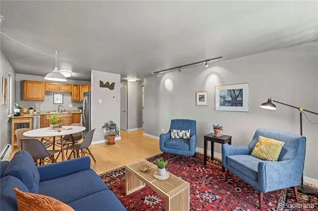 271 Grant Street #303 Denver, CO 80203