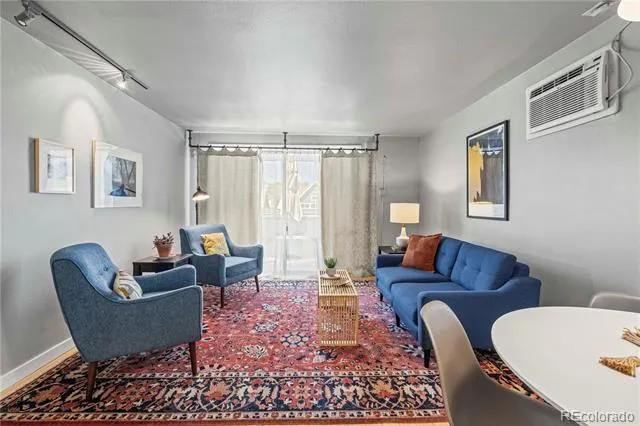 271 Grant Street #303 Denver, CO 80203