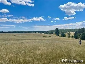 11726 CR 102 Elbert, CO 80116