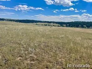 11726 CR 102 Elbert, CO 80116