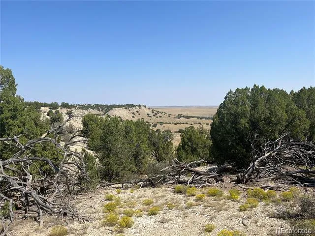 Par 90 Railroad Springs Road Pueblo, CO 81004
