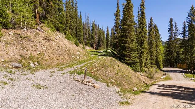797 Peterson Drive Fairplay, CO 80440