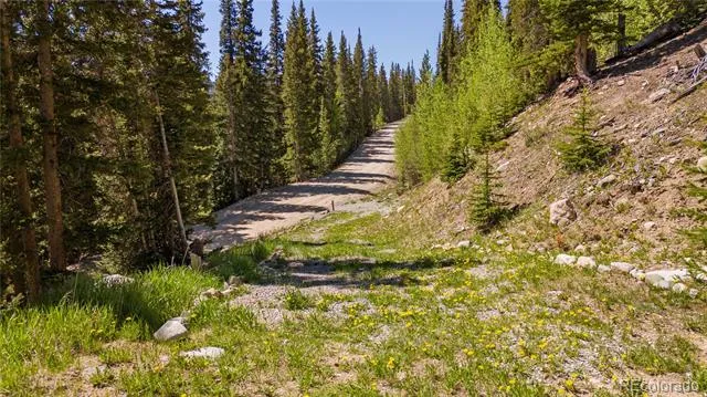 797 Peterson Drive Fairplay, CO 80440