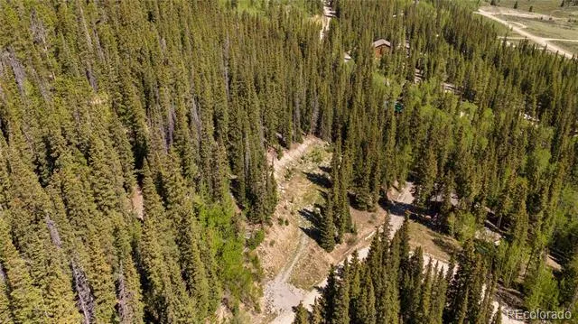 797 Peterson Drive Fairplay, CO 80440