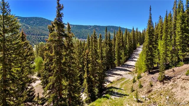 797 Peterson Drive Fairplay, CO 80440