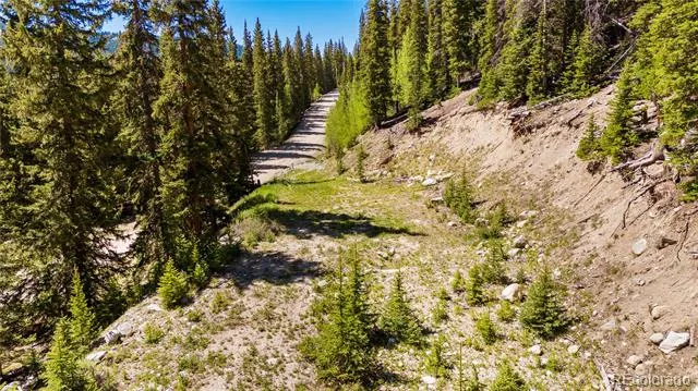 797 Peterson Drive Fairplay, CO 80440