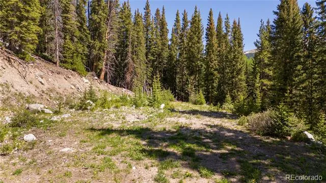 797 Peterson Drive Fairplay, CO 80440
