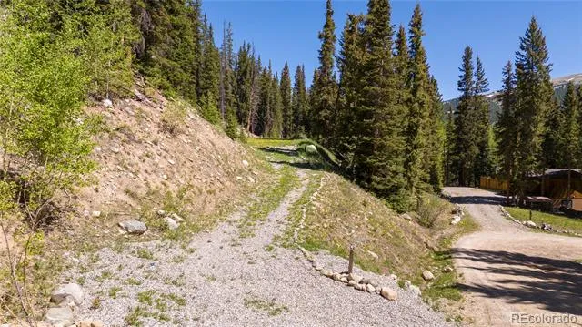 797 Peterson Drive Fairplay, CO 80440