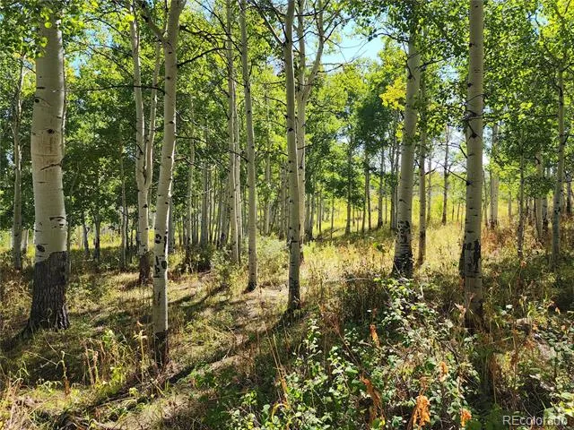 2586 26 1/10 ROAD Gateway, CO 81522
