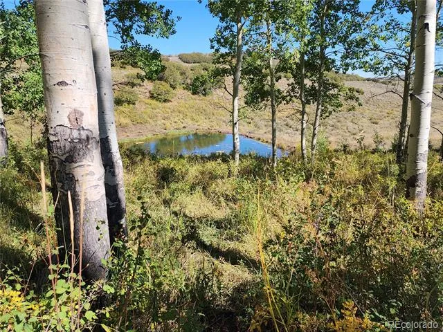 2586 26 1/10 ROAD Gateway, CO 81522