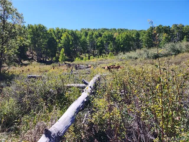 2586 26 1/10 ROAD Gateway, CO 81522