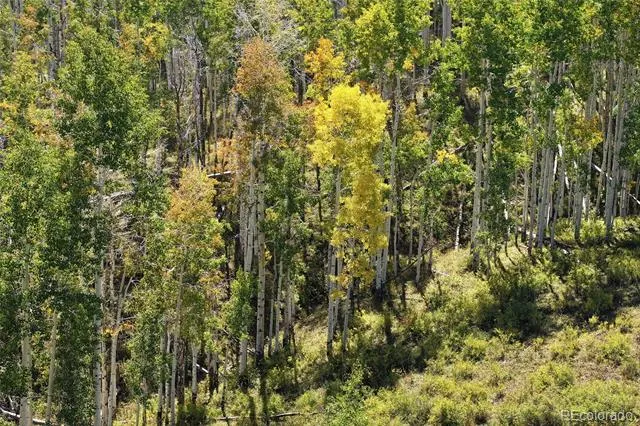 2586 26 1/10 ROAD Gateway, CO 81522