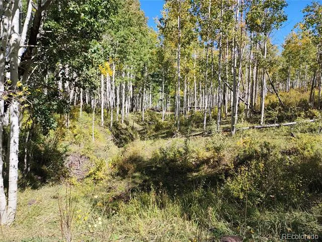 2586 26 1/10 ROAD Gateway, CO 81522