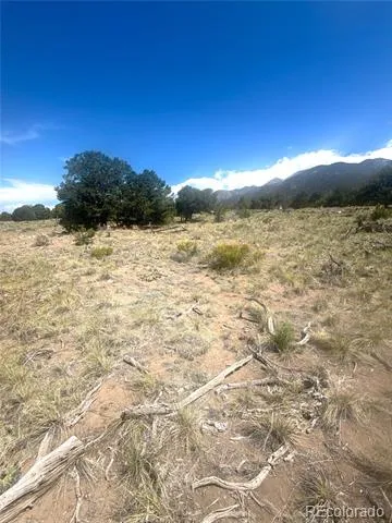 4472 Greenview Court Crestone, CO 81131