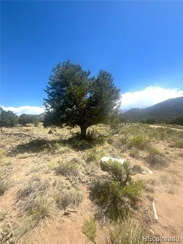 4472 Greenview Court Crestone, CO 81131