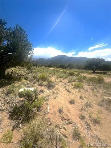 4472 Greenview Court Crestone, CO 81131