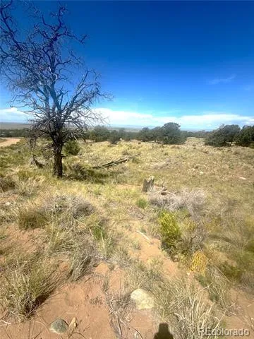 4472 Greenview Court Crestone, CO 81131