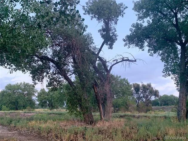 905 Damson Street Pueblo, CO 81001