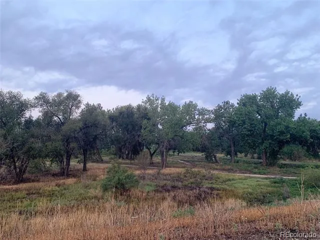 905 Damson Street Pueblo, CO 81001