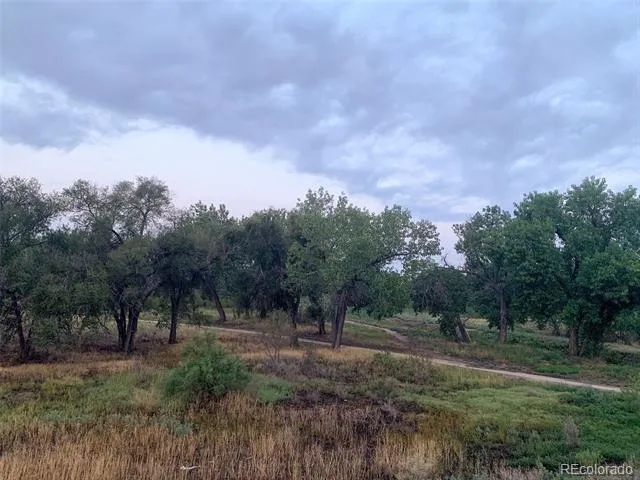 905 Damson Street Pueblo, CO 81001
