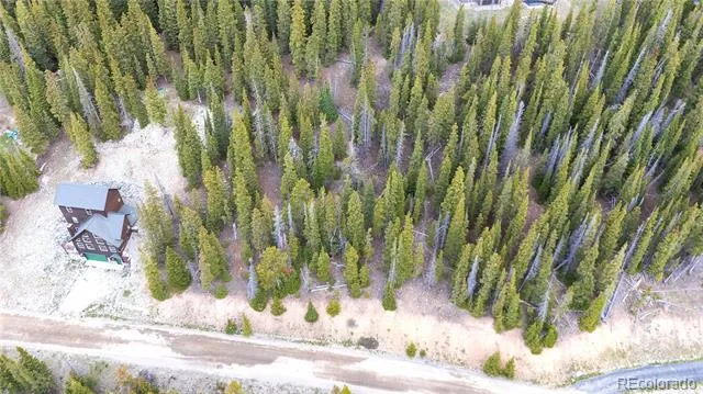 301 Kimmes Lane Breckenridge, CO 80424