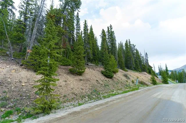 301 Kimmes Lane Breckenridge, CO 80424