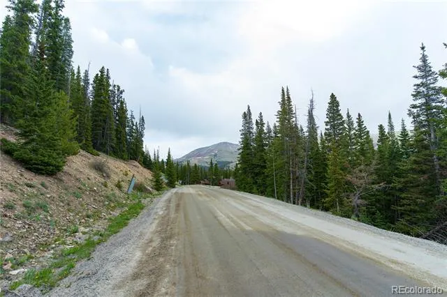 301 Kimmes Lane Breckenridge, CO 80424