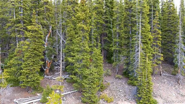 301 Kimmes Lane Breckenridge, CO 80424