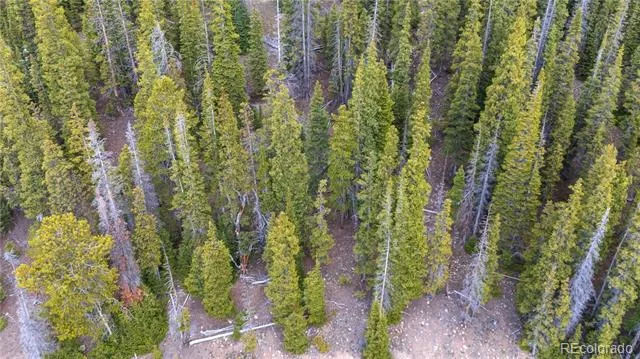 301 Kimmes Lane Breckenridge, CO 80424