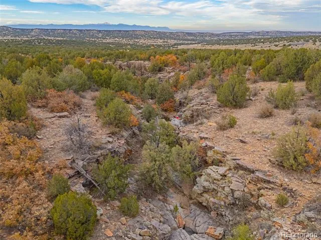3115 Canyon Heights Road Pueblo, CO 81005