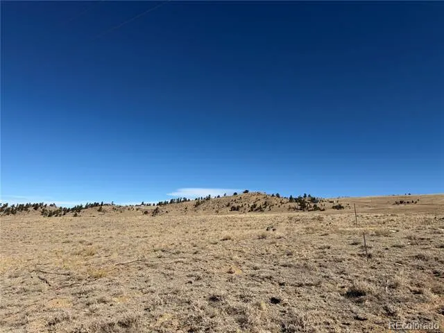 0 Chickasaw Road Hartsel, CO 80449