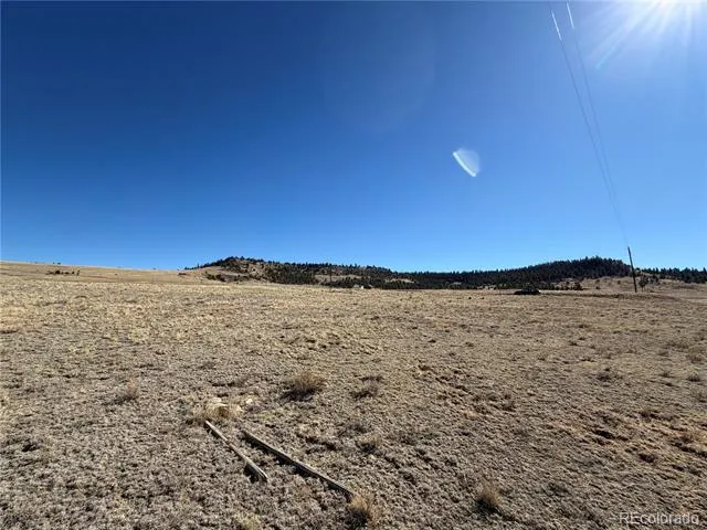 0 Chickasaw Road Hartsel, CO 80449