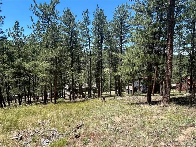 0 pine Pine Evergreen, CO 80439