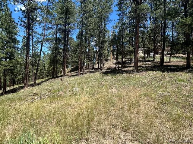 0 pine Pine Evergreen, CO 80439