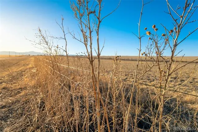 0 Hwy 94 Ellicott, CO 80808