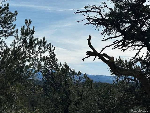 2065 Indian Wells Road Cotopaxi, CO 81223