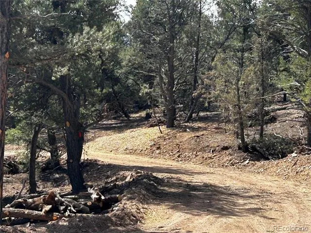 2065 Indian Wells Road Cotopaxi, CO 81223