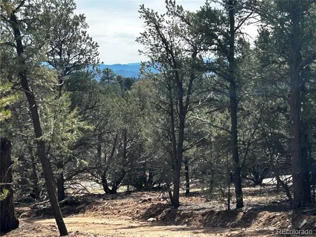 2065 Indian Wells Road Cotopaxi, CO 81223