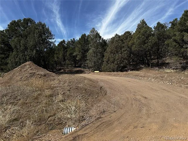 2065 Indian Wells Road Cotopaxi, CO 81223