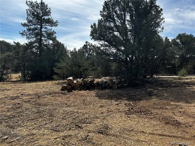 2065 Indian Wells Road Cotopaxi, CO 81223