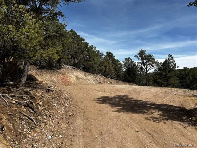 2065 Indian Wells Road Cotopaxi, CO 81223